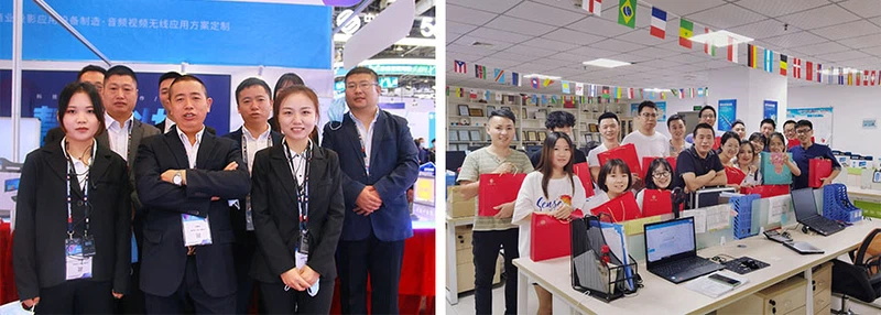 Our Team Maidir linn(图1)